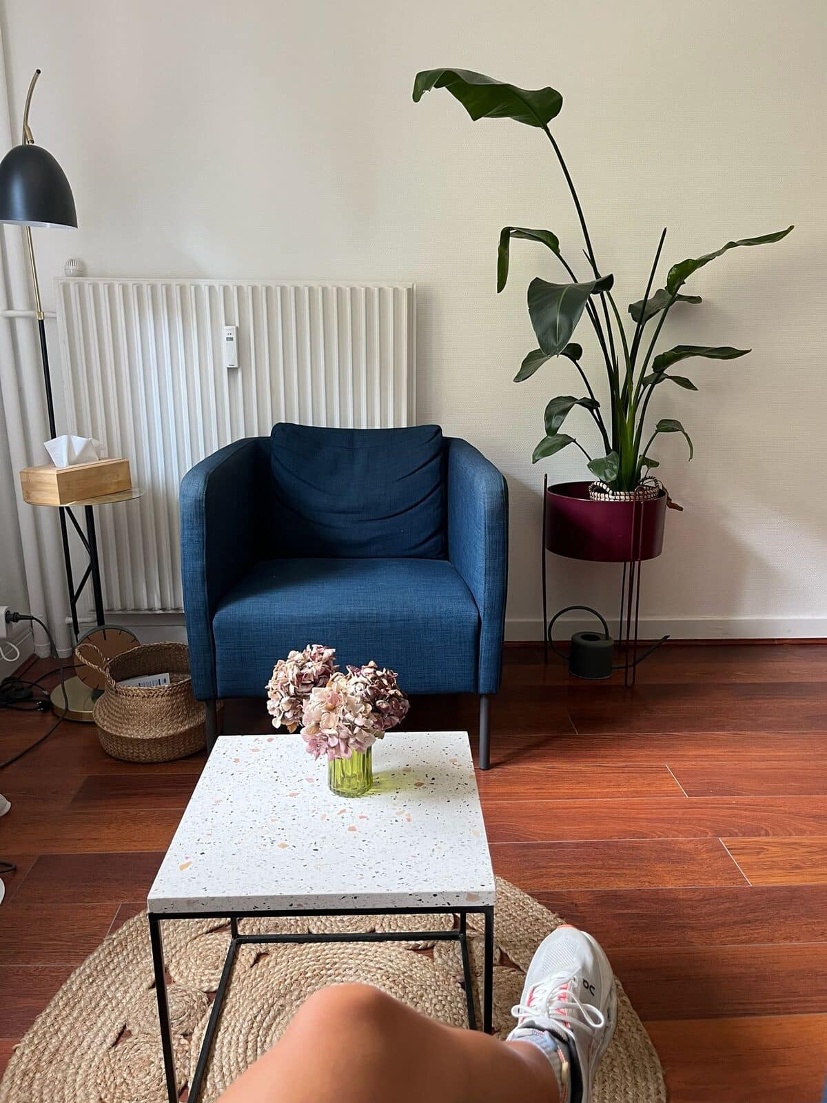 Coin salon du cabinet, fauteuil bleu et plantes